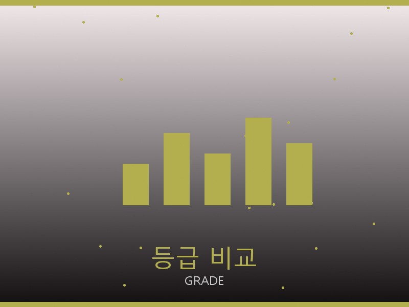 보테가 미러급 사이트 등급 기준 비교