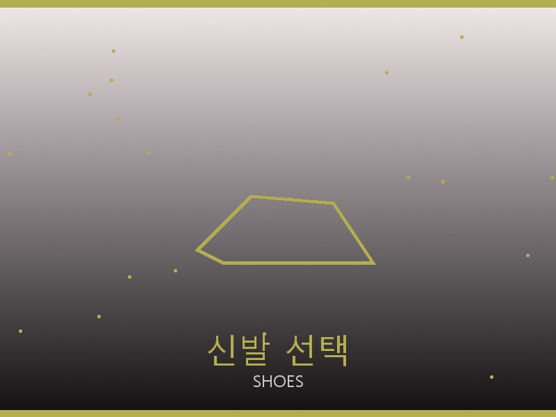 보테가 미러급 사이트 신발 선택 가이드